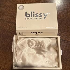 Blissy 100% Pure Mulberry Silk King Size Pillowcase  Champagne